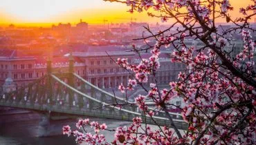 Liberty-Bridge-Budapest-Hungary