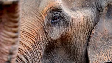 lauren-kay-322347-unsplash1