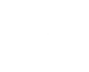 GLOBAL CHOICE