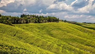 rowan-heuvel-27564-unsplash