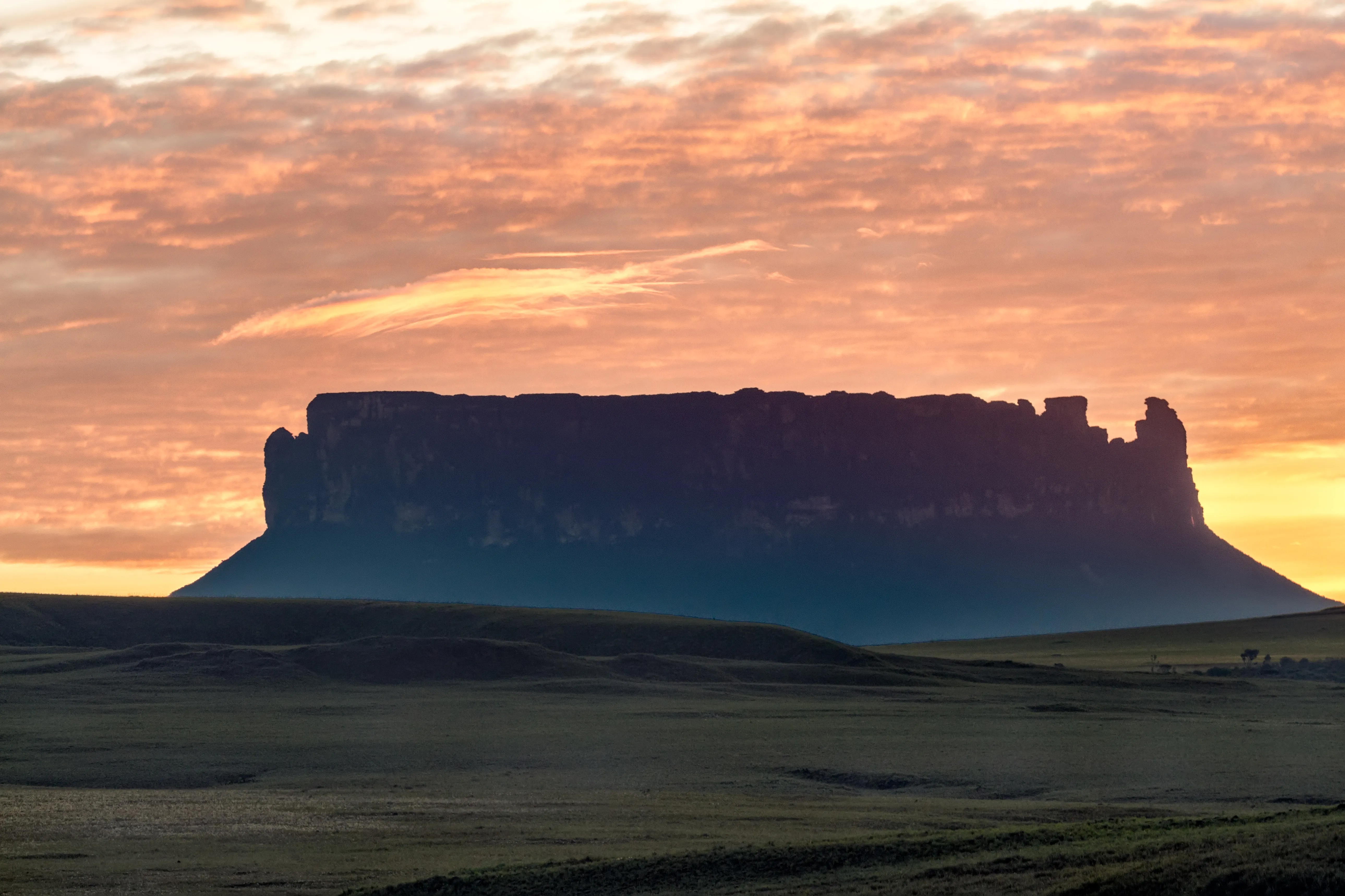 Tepuy Yuruaní, Fernando Flores