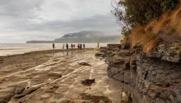 pexels-peter-robinson-3840071