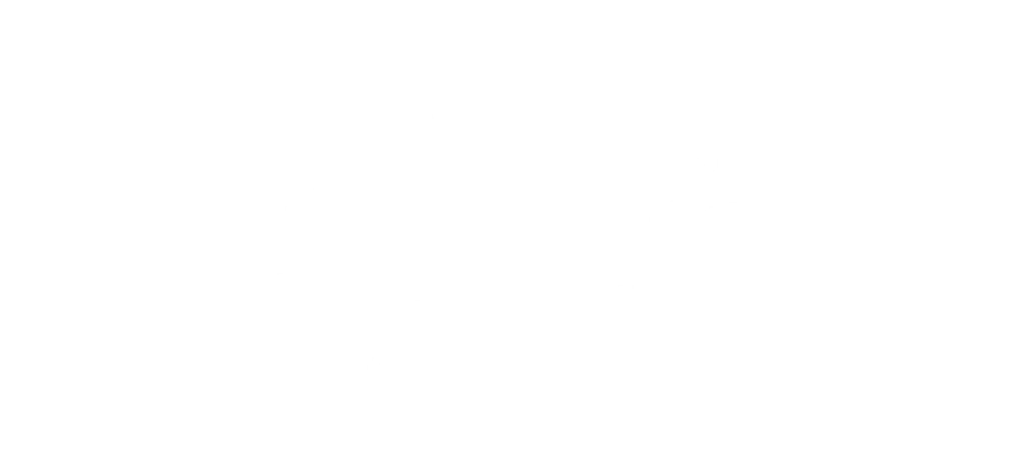 Logo internacional AFS