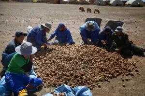 Bolivie Nourriture