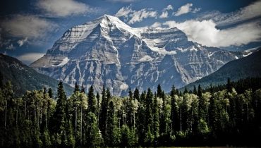 Envoi-Canada-forêt-AFS