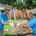 deux femmes qui travaillent ensemble