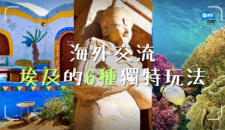 海外交流 埃及的6種獨特玩法 (1)