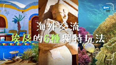 海外交流 埃及的6種獨特玩法 (1)