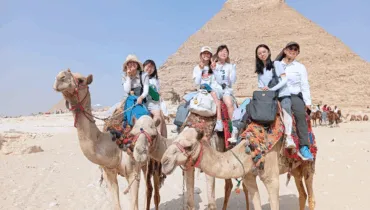 GCE EGYPT