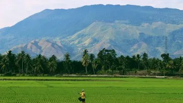 sandy-zebua-581616-unsplash