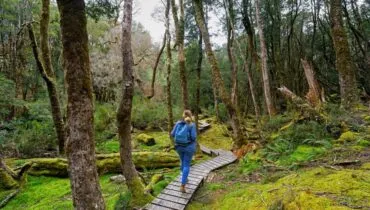Hiking-tasmania