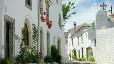 country-portugal-white-concrete-structure-with-green-and-red-plants-1013427