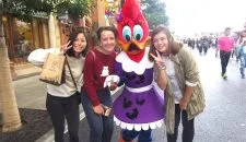 news20161110_miyazakiminami01