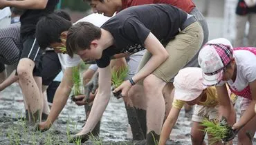 news20160624_bisan01