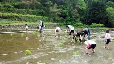 news20160526_yamaguchi01