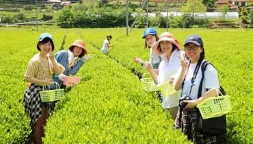 news20170518-yamaguchi06