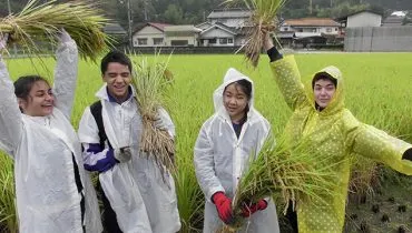 news20171031-bisan04