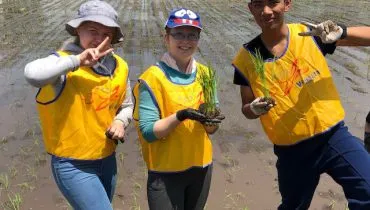 news20180530-miyagi01