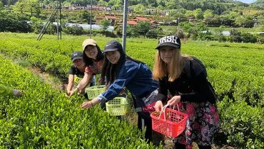 news20190508-yamaguchi01