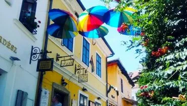story20190823-hungary03