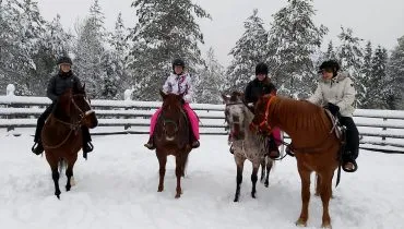 story20200820-finland04