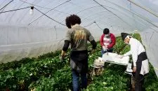 news20210304-2-nara01