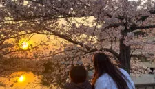 story-r-turky-2-02thumbnail