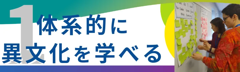 体系的に異文化を学べる