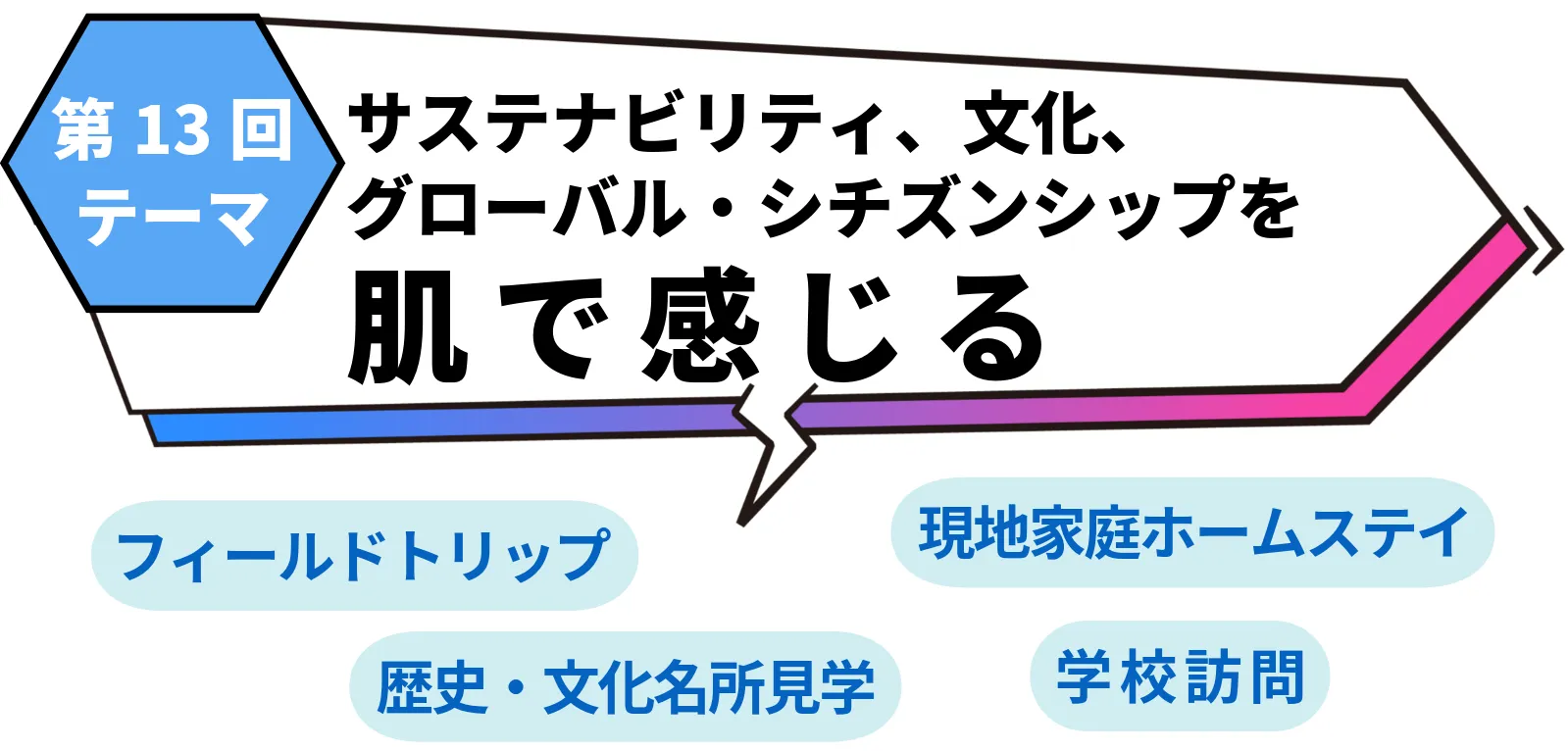 第13回テーマ:サステナビリティ、文化、グローバル・シチズンシップを肌で感じる 活動予定:学校訪問、フィールド トリップ、歴史・文化名所見学、現地家庭へのホームステイ等
