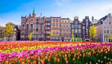 iStock-885965442