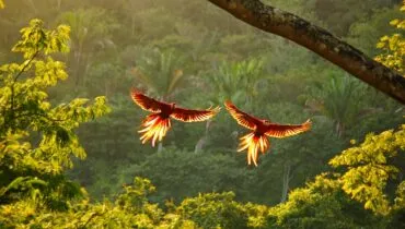 costarica good (1)