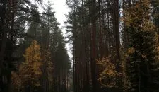 Marta Butturini ITA 2