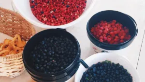 Noruega-comida-1200×675