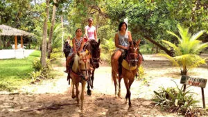 Brasil-familia-1200×675
