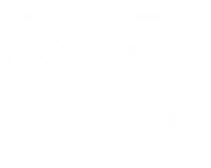 AFS_Logo-Chile – blanco