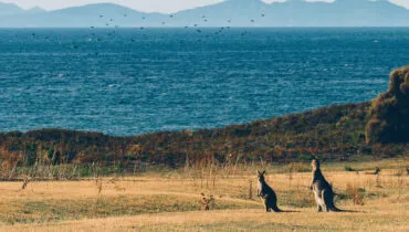 Australia-Tasmania-intercambio-estudiantil-AFS-Chile (3)