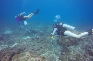 DCIM100GOPROGOPR3479.JPG