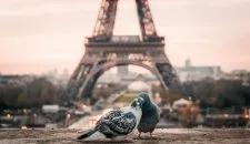 fabrizio-verrecchia-bQxGg8Vx1Vc-unsplash-2