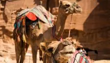 Egypt-2