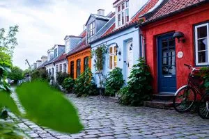 ESC muligheder i Danmark