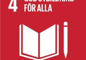 Sustainable-Development-Goals_icons-04-1-300×3001
