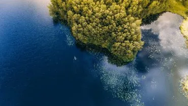 trees-near-body-of-water-1315891