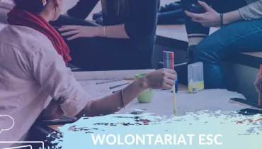 wolontariat islandia