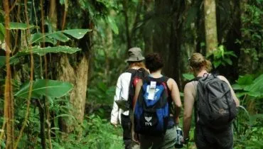 Costa Rica Wildlife Expedition
