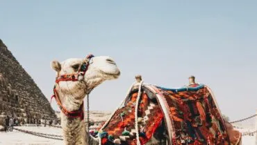 Egypte isabella-juskova–XwQFmuiMts-unsplash