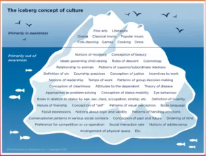 AFS Vlaanderen – Culturele Competenties