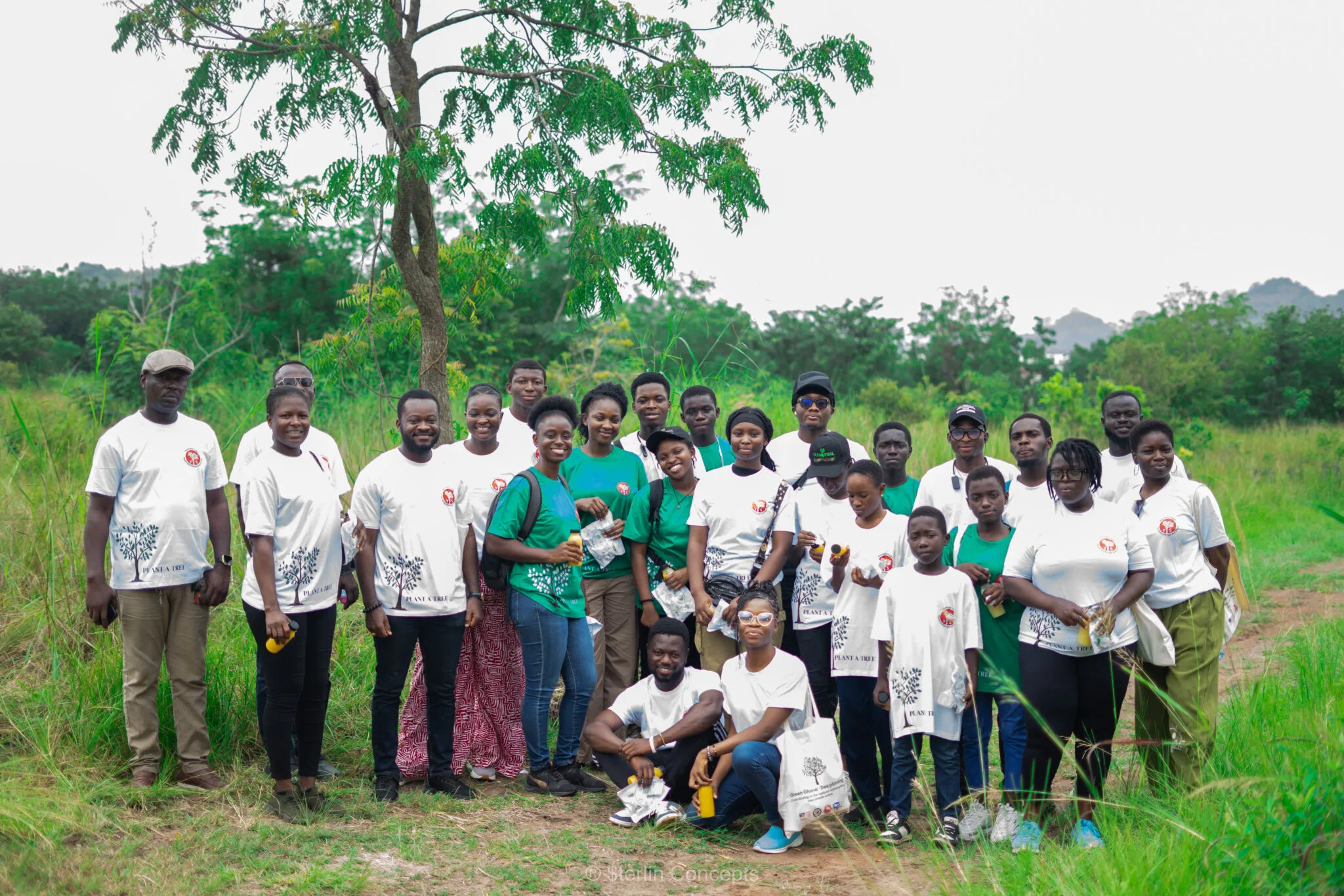 Tree Planting Placeholder 3