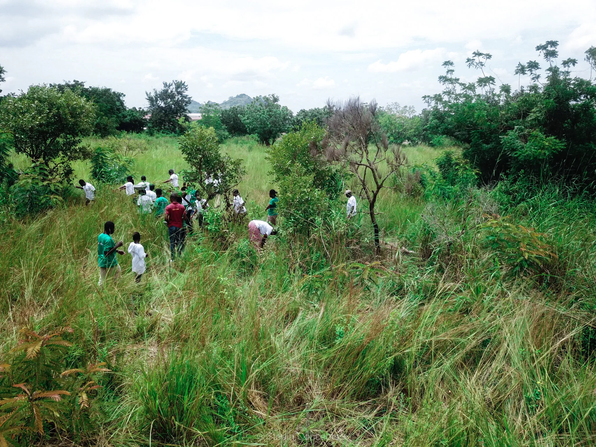 Tree Planting Placeholder 1