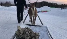 Yarah Ceusters in Finland 3