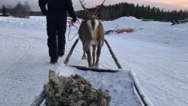 Yarah Ceusters in Finland 3